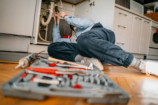 Best Water Softener Installation  in Le Roy, IL