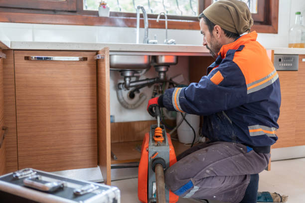 Best Affordable Plumber Near Me  in Le Roy, IL