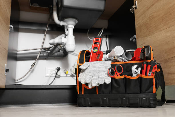 Best Plumbing Repair Near Me  in Le Roy, IL
