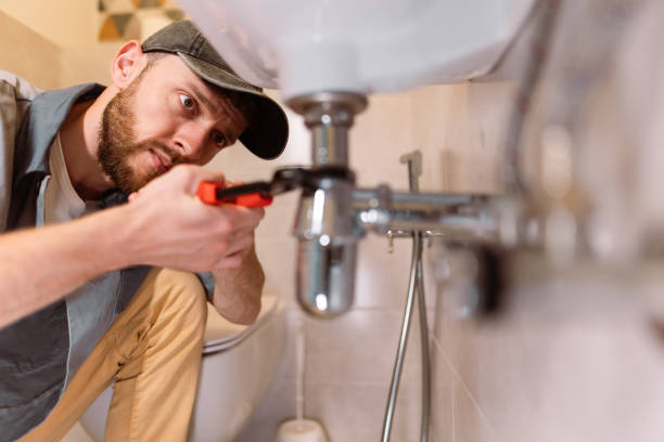 Best Toilet Repair Services  in Le Roy, IL
