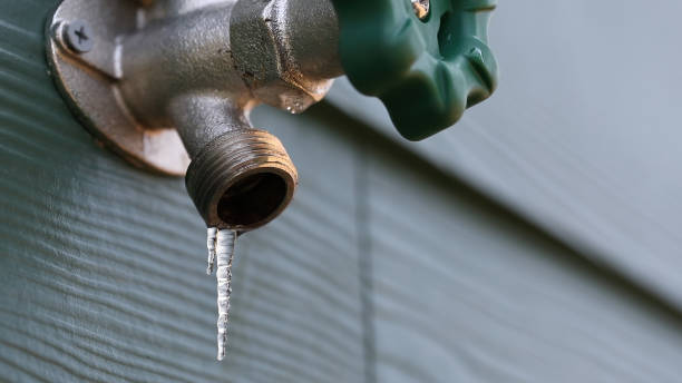 Best Affordable Plumbing Services  in Le Roy, IL