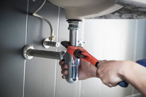 Best Clogged Drain Plumber  in Le Roy, IL